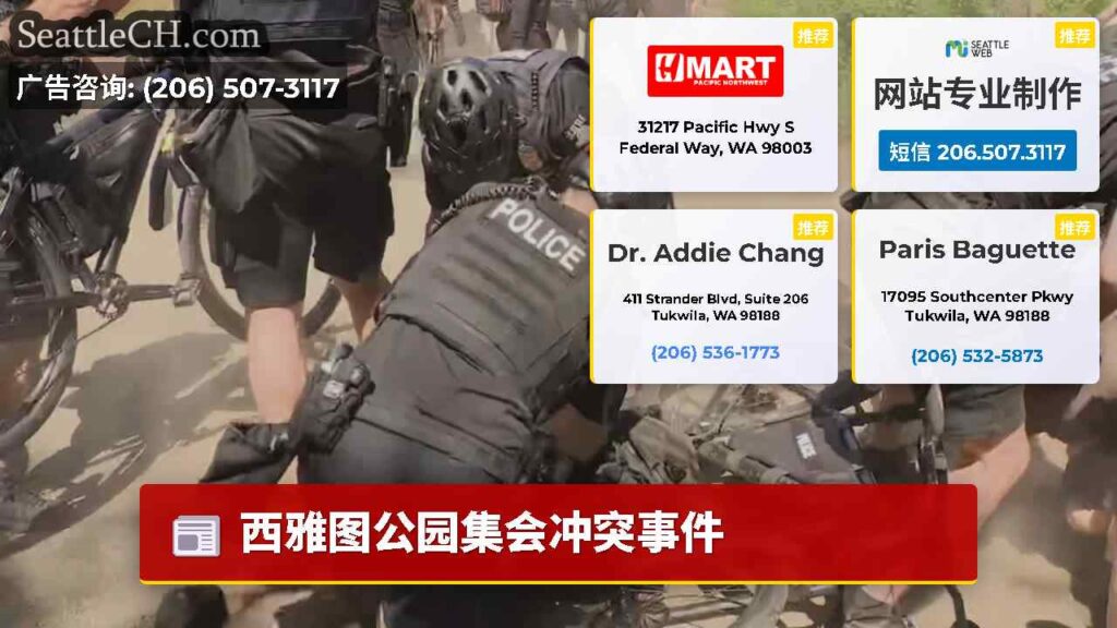 西雅图公园集会冲突事件
