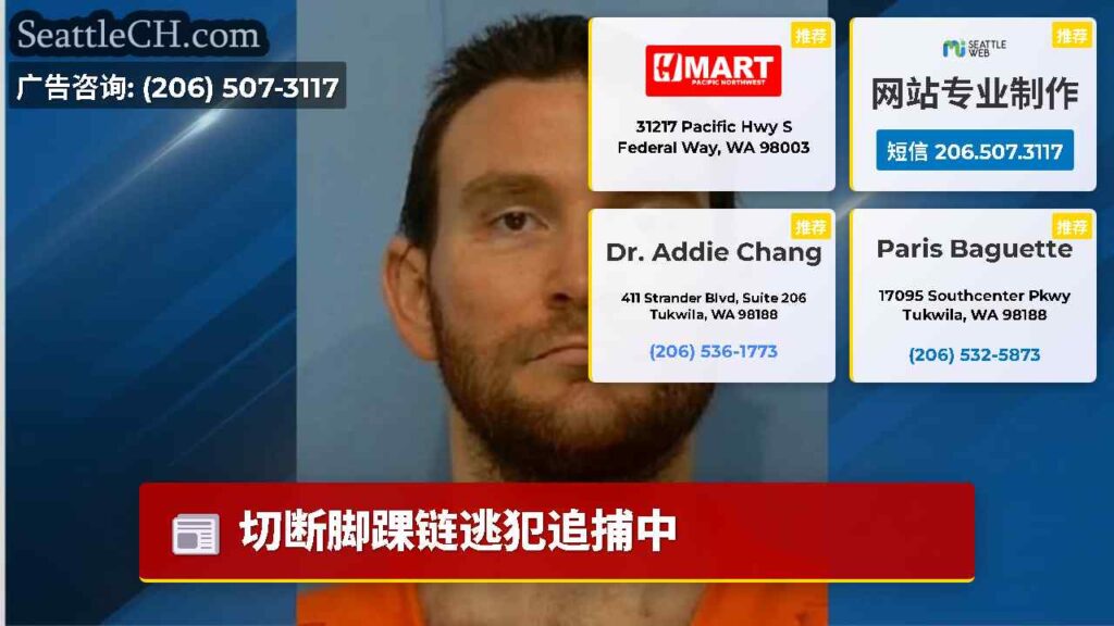 切断脚踝链逃犯追捕中