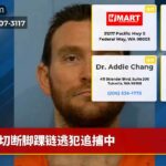 切断脚踝链逃犯追捕中