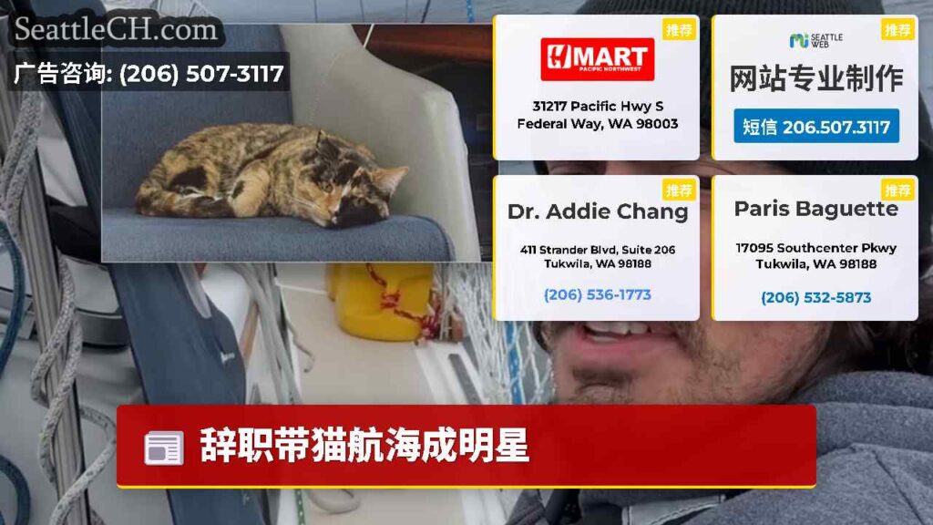 辞职带猫航海成明星