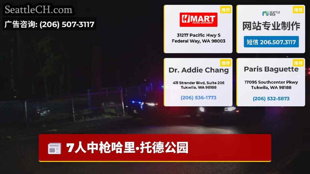 7人中枪哈里·托德公园