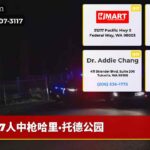 7人中枪哈里·托德公园