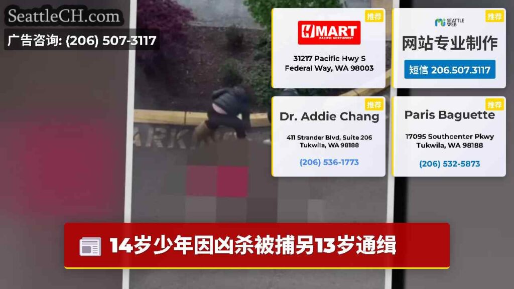 14岁少年因凶杀被捕另13岁通缉