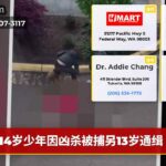 14岁少年因凶杀被捕另13岁通缉