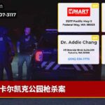 卡尔凯克公园枪杀案