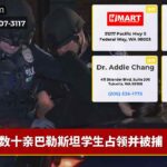 数十亲巴勒斯坦学生占领并被捕