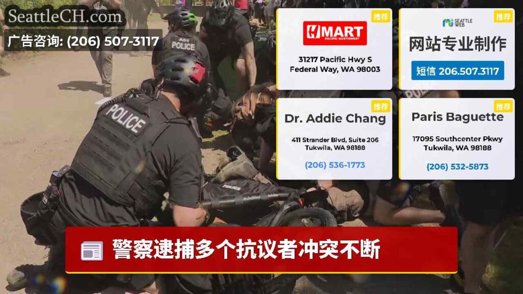 警察逮捕多个抗议者冲突不断
