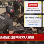 西雅图公园冲突23人被捕