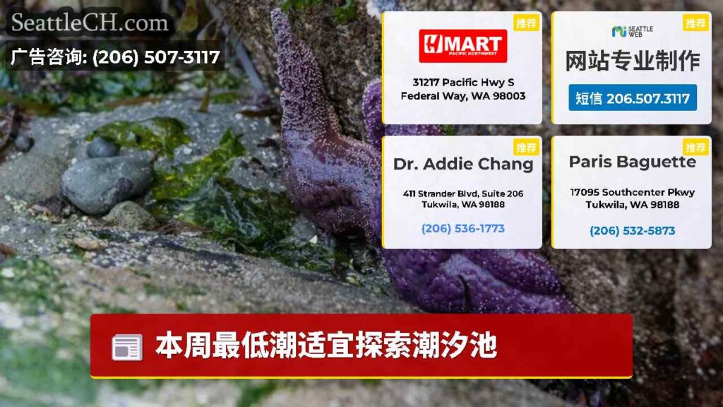 本周最低潮适宜探索潮汐池