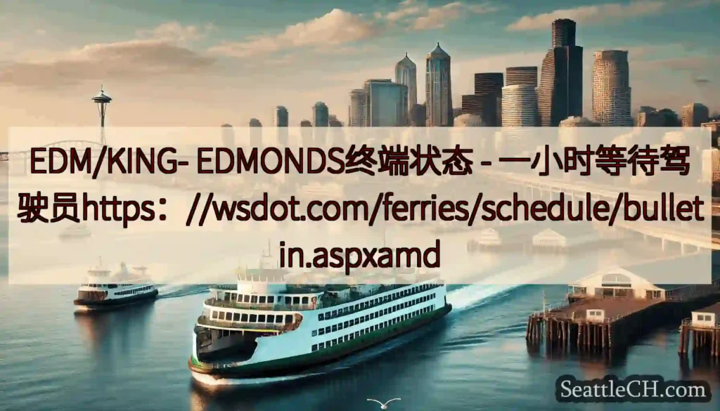 EDM/KING- EDMONDS终端状态 -