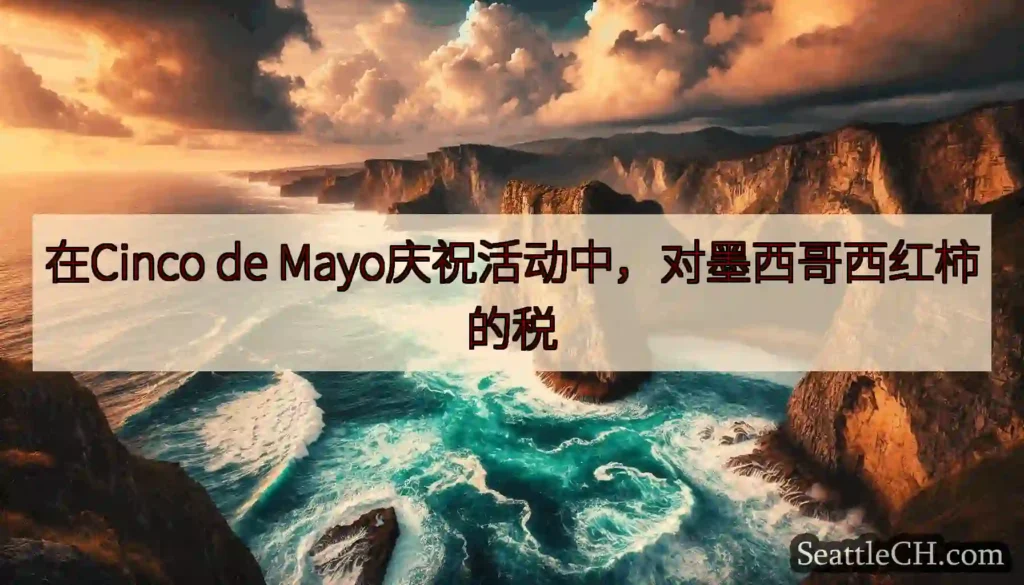 在Cinco de Mayo庆祝活动中，对墨西哥西红柿的税