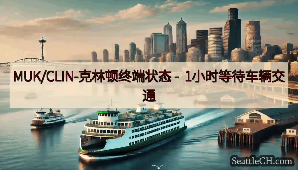 MUK/CLIN-克林顿终端状态 -