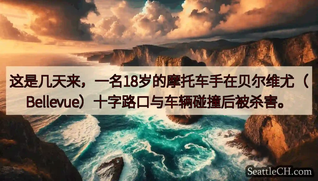 这是几天来，一名18岁的摩托车手在贝尔维尤（Bellevue）十字路口与车辆碰撞后被杀害。