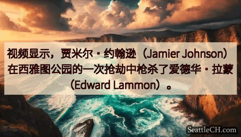 视频显示，贾米尔·约翰逊（Jamier