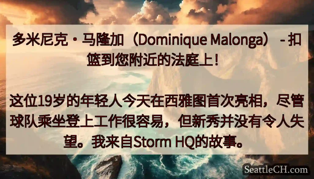 多米尼克·马隆加（Dominique Malonga） - 扣篮到您附近的法庭上！