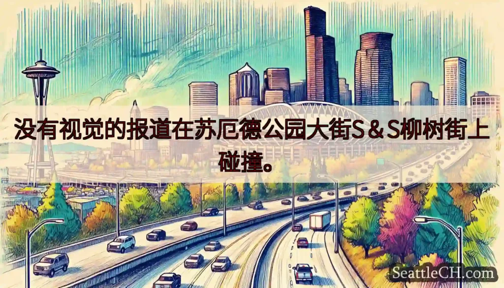 没有视觉的报道在苏厄德公园大街S＆S柳树街上碰撞。