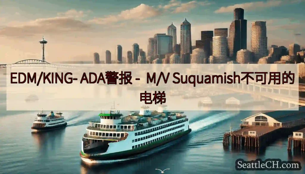 EDM/KING- ADA警报 - M/V