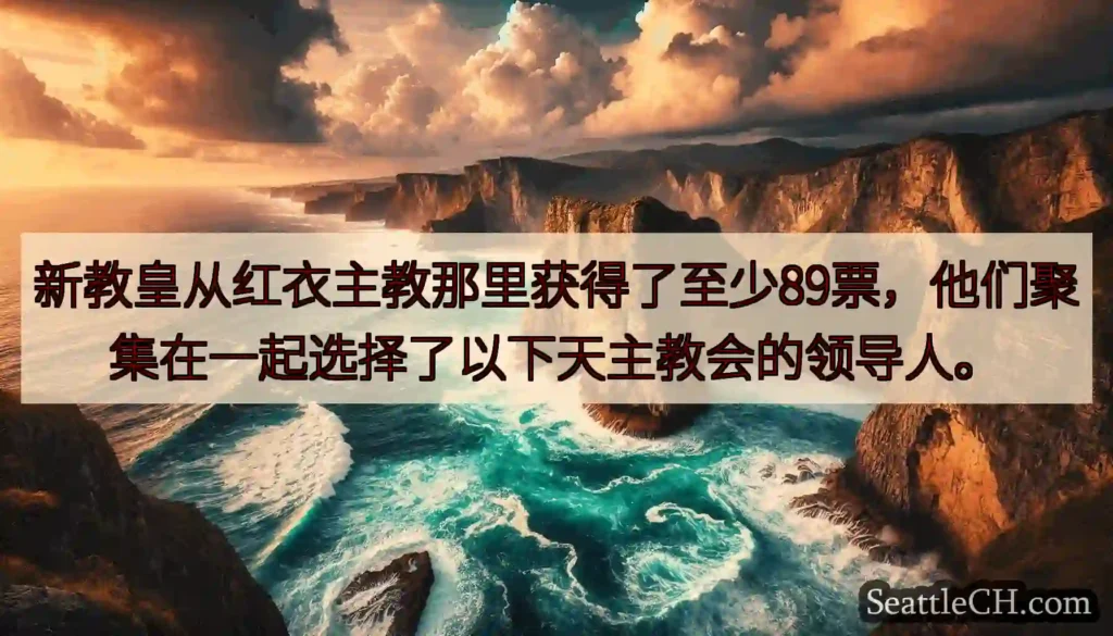 新教皇从红衣主教那里获得了至少89票，他们聚集在一起选择了以下天主教会的领导人。