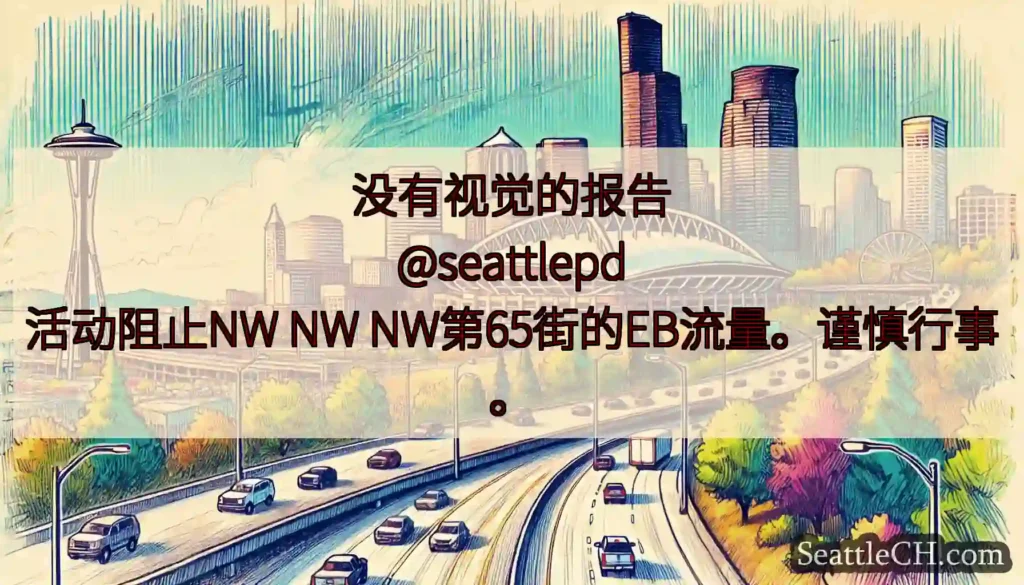 没有视觉的报告