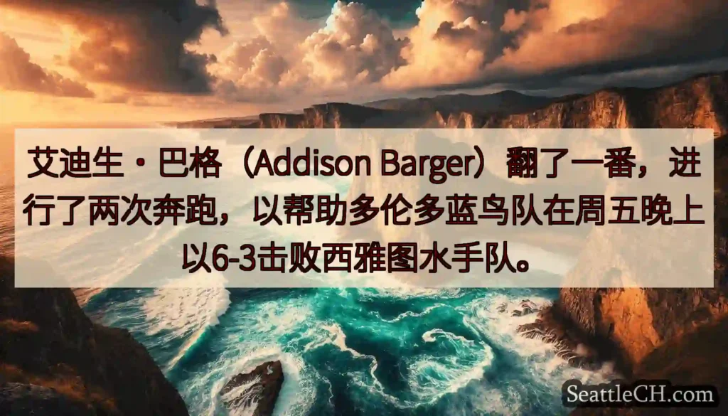 艾迪生·巴格（Addison