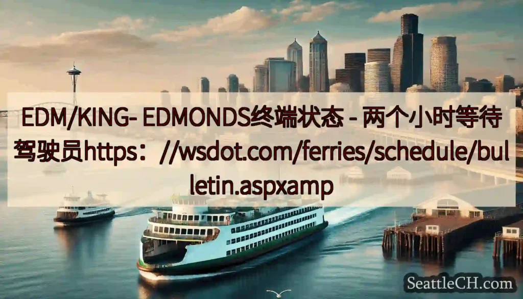 EDM/KING- EDMONDS终端状态 -