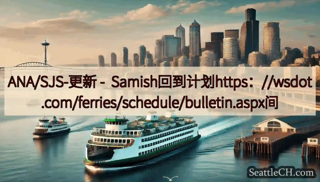 ANA/SJS-更新 -