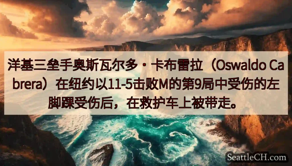 洋基三垒手奥斯瓦尔多·卡布雷拉（Oswaldo