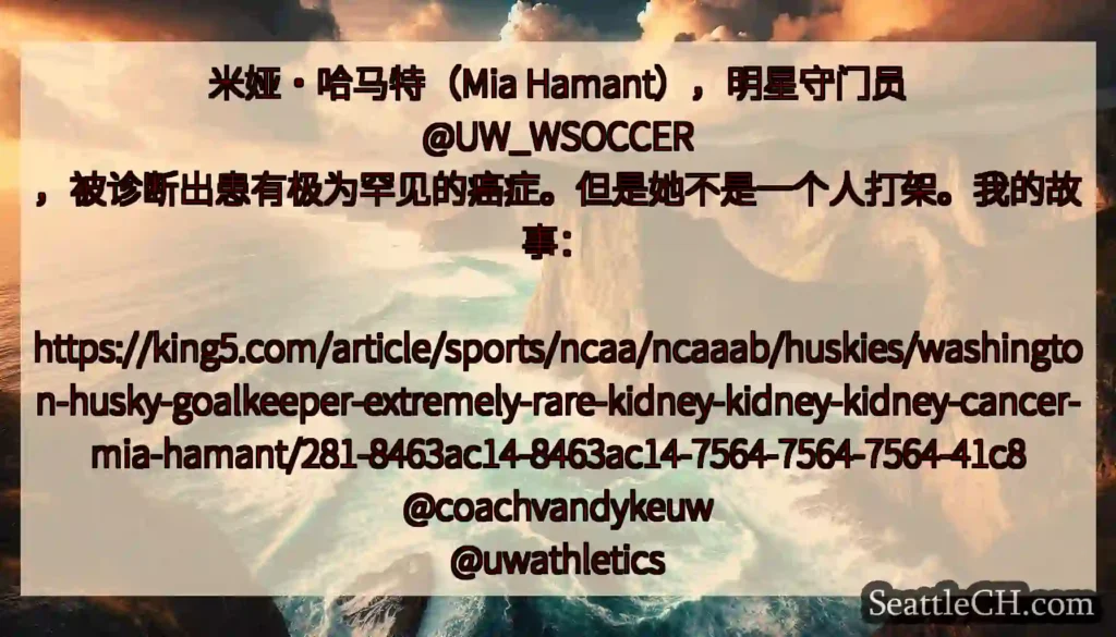 米娅·哈马特（Mia Hamant），明星守门员