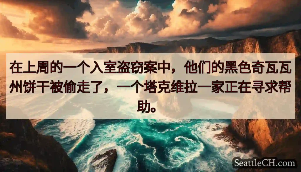 在上周的一个入室盗窃案中，他们的黑色奇瓦瓦州饼干被偷走了，一个塔克维拉一家正在寻求帮助。
