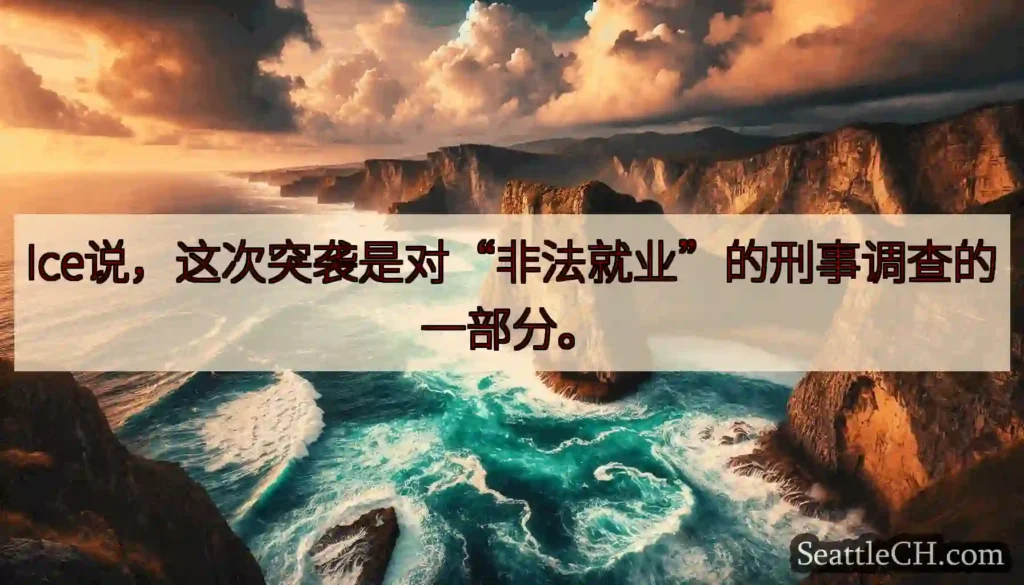 Ice说，这次突袭是对“非法就业”的刑事调查的一部分。