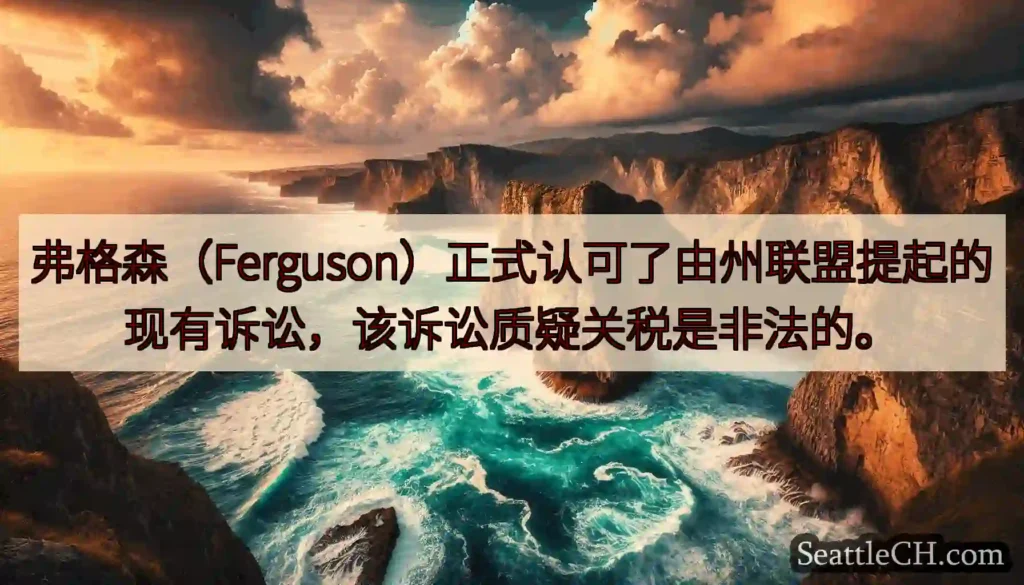 弗格森（Ferguson）正式认可了由州联盟提起的现有诉讼，该诉讼质疑关税是非法的。