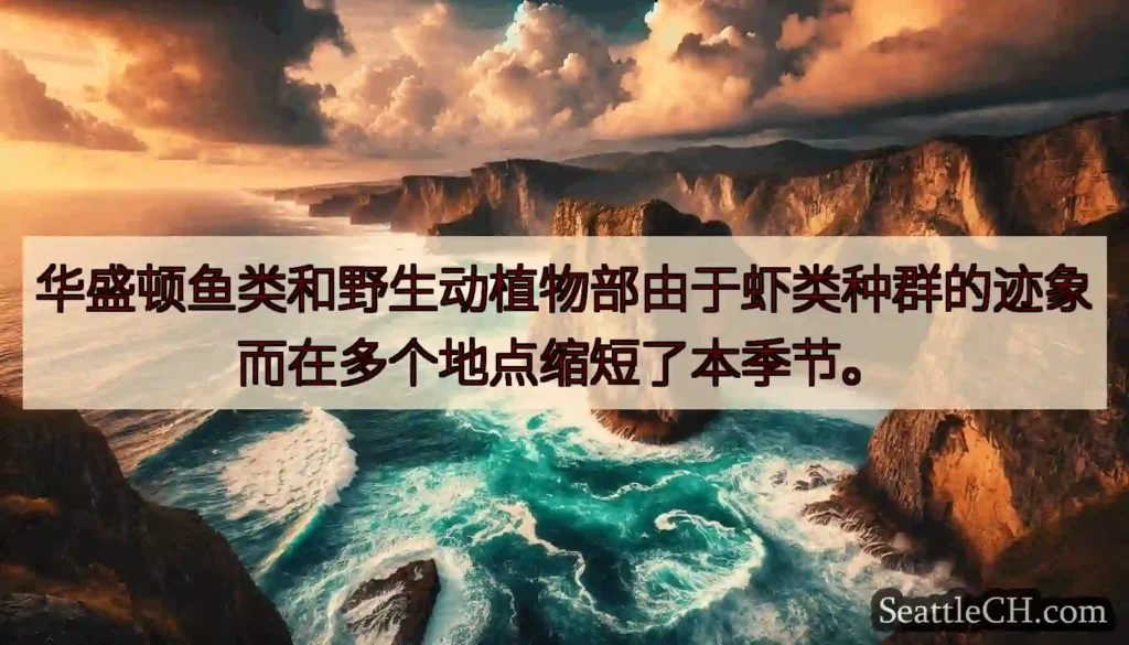 华盛顿鱼类和野生动植物部由于虾类种群的迹象而在多个地点缩短了本季节。