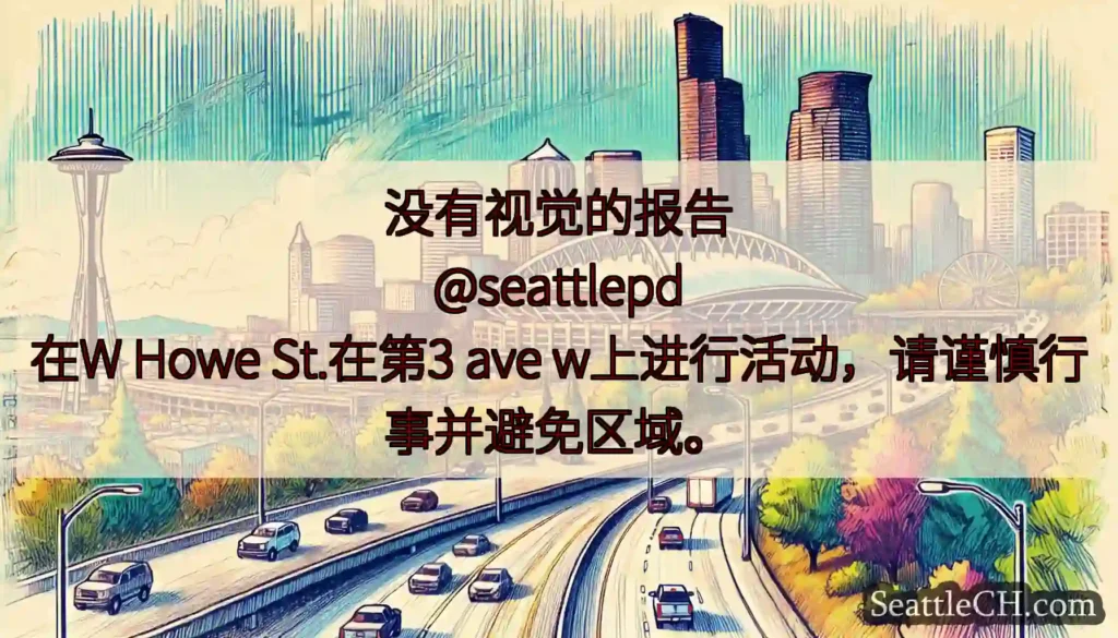没有视觉的报告