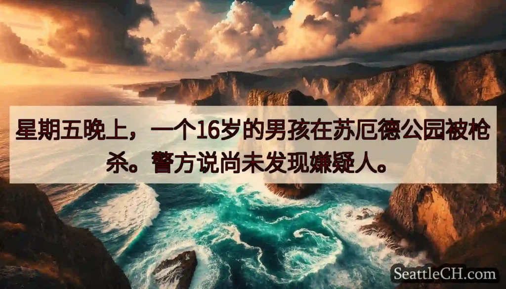 星期五晚上，一个16岁的男孩在苏厄德公园被枪杀。警方说尚未发现嫌疑人。