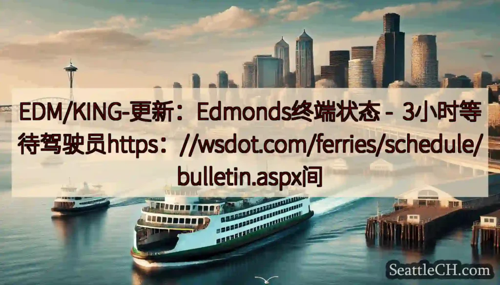 EDM/KING-更新：Edmonds终端状态 -