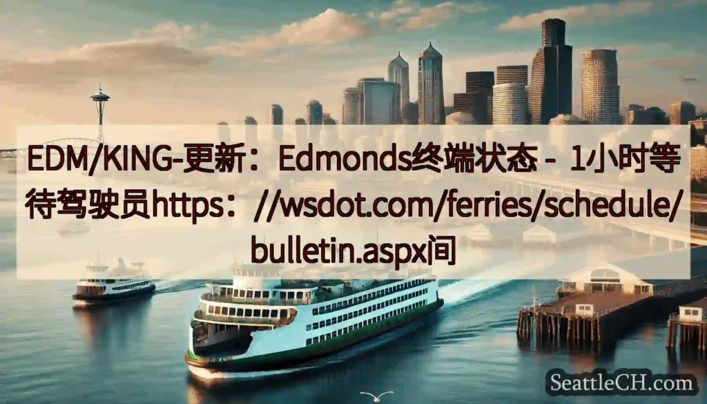 EDM/KING-更新：Edmonds终端状态 -