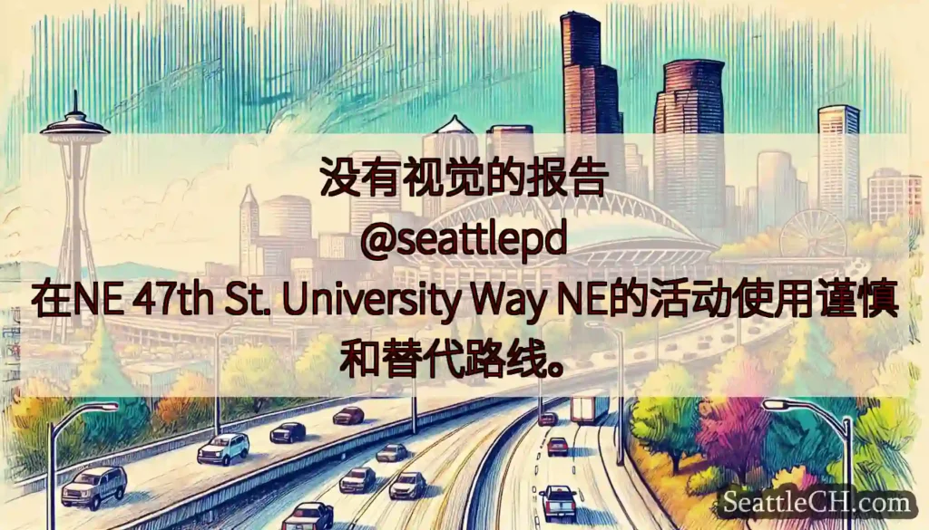 没有视觉的报告