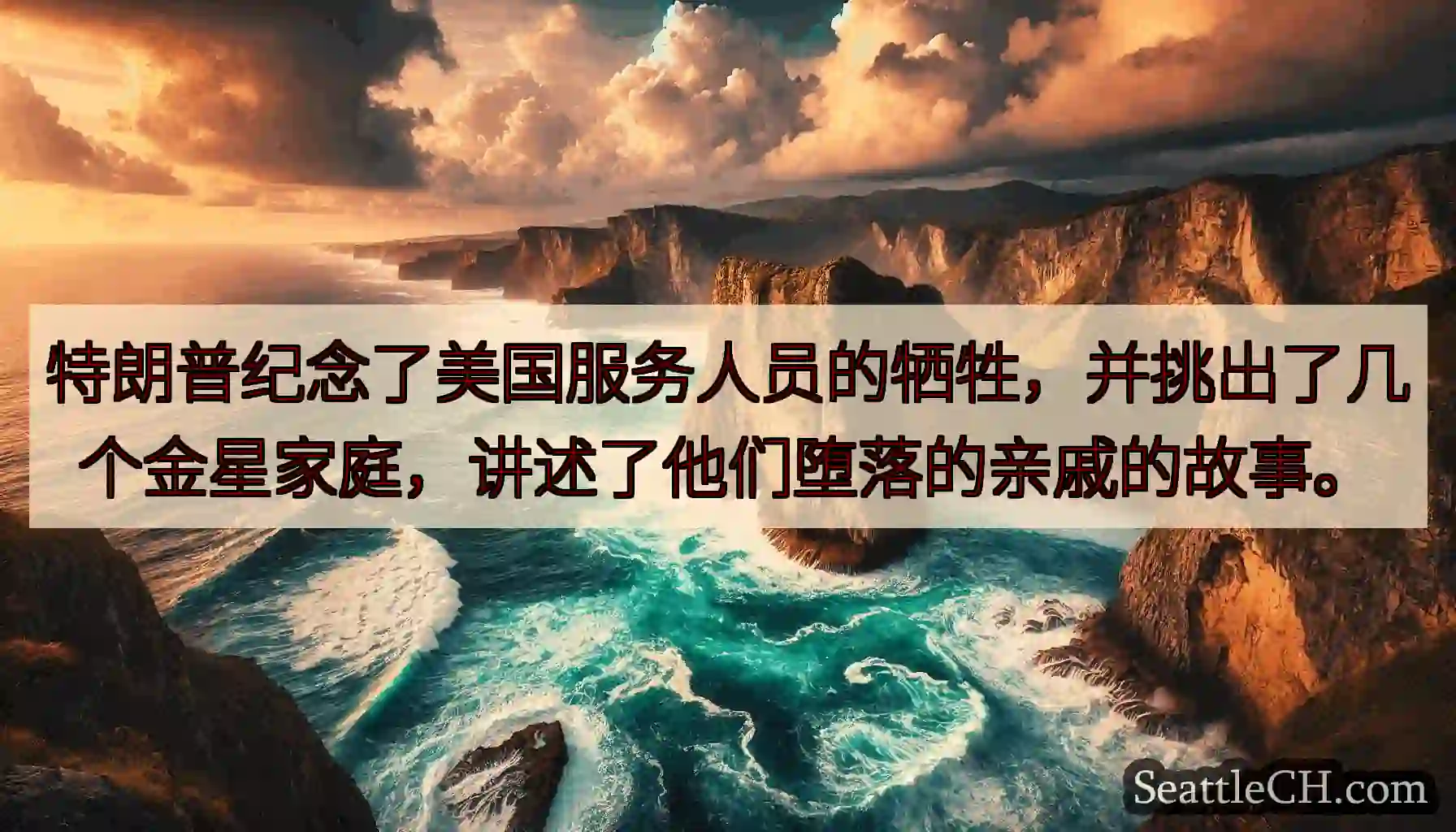 特朗普纪念了美国服务人员的牺牲，并挑出了几个金星家庭，讲述了他们堕落的亲戚的故事。