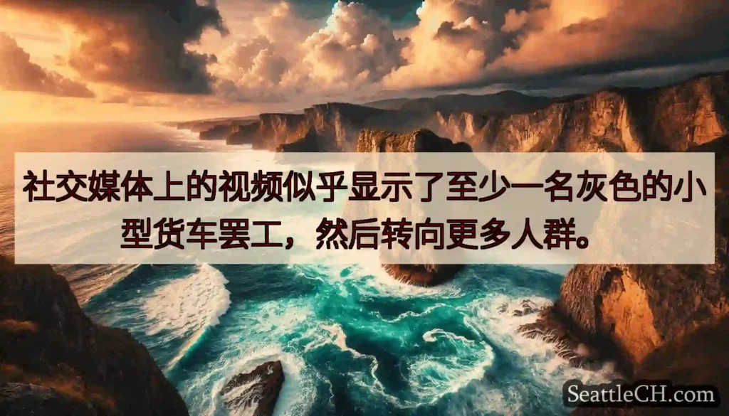 社交媒体上的视频似乎显示了至少一名灰色的小型货车罢工，然后转向更多人群。