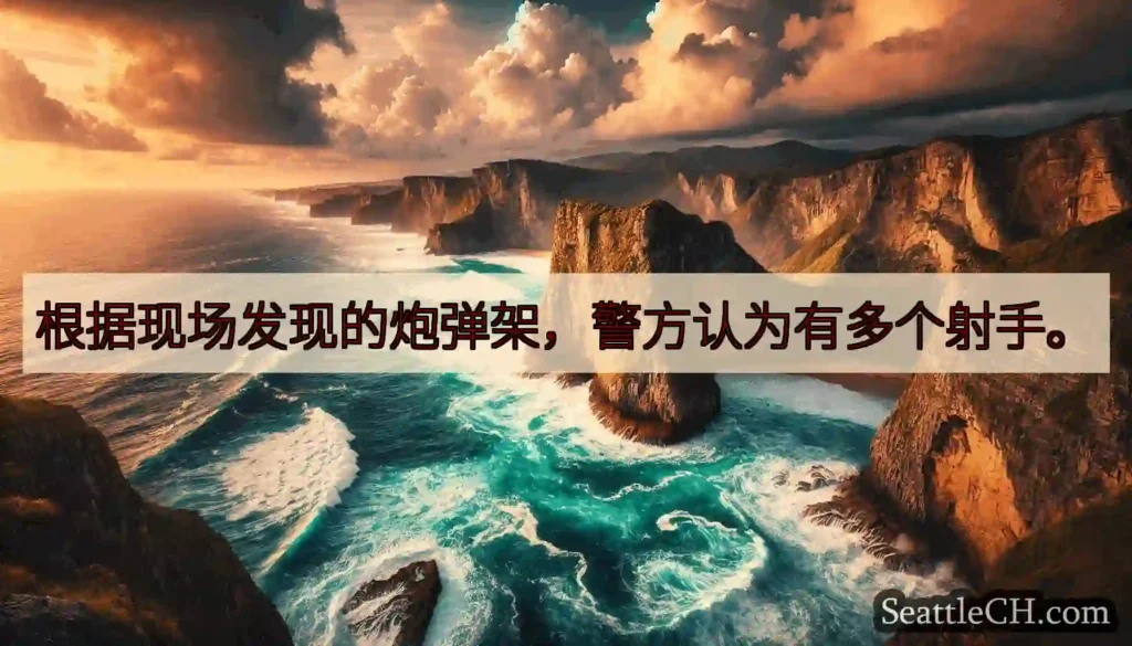 根据现场发现的炮弹架，警方认为有多个射手。