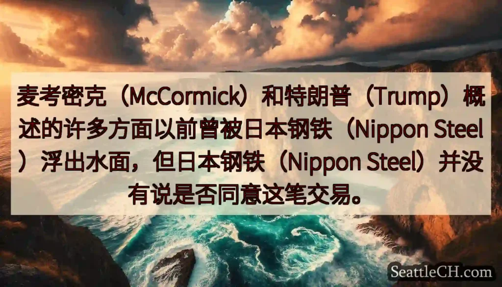 麦考密克（McCormick）和特朗普（Trump）概述的许多方面以前曾被日本钢铁（Nippon