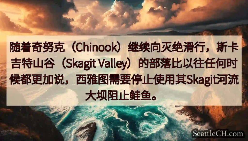 随着奇努克（Chinook）继续向灭绝滑行，斯卡吉特山谷（Skagit