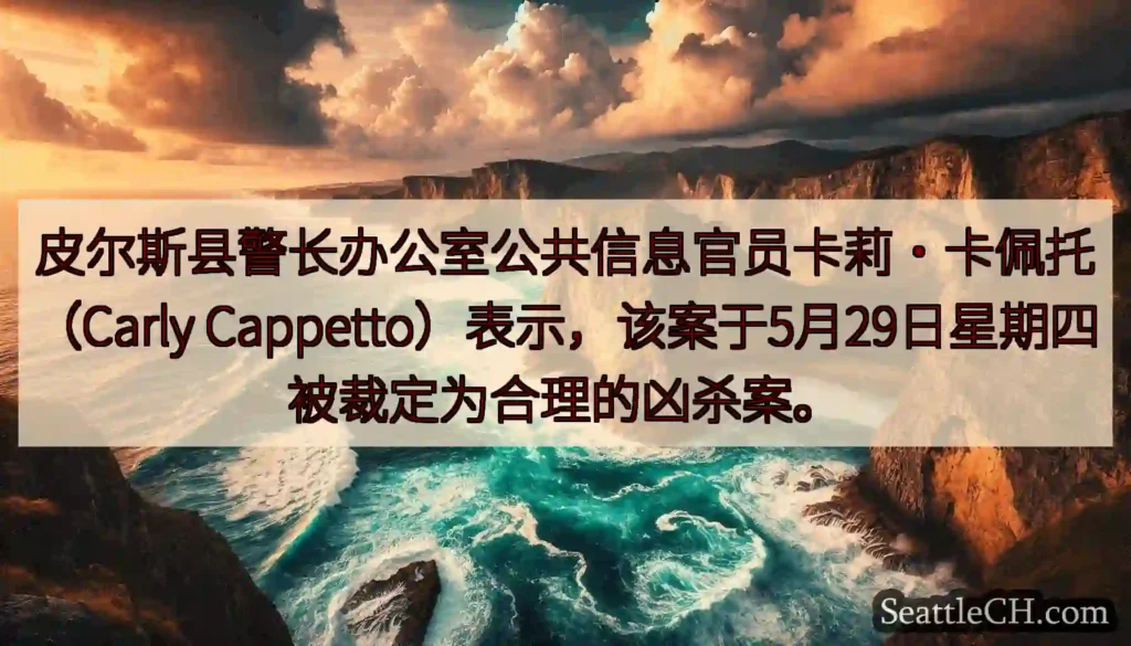 皮尔斯县警长办公室公共信息官员卡莉·卡佩托（Carly