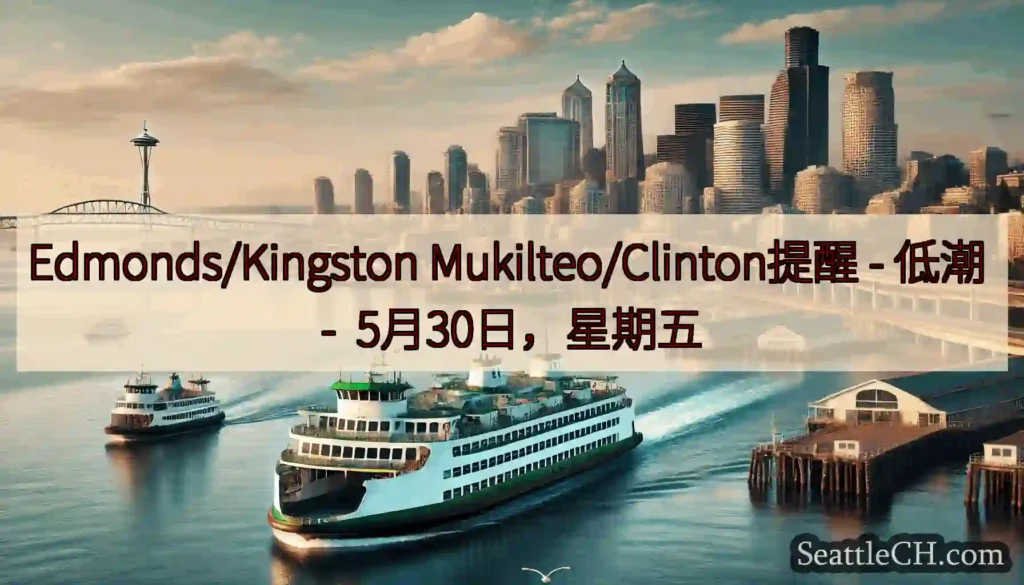 Edmonds/Kingston Mukilteo/Clinton提醒 - 低潮 -