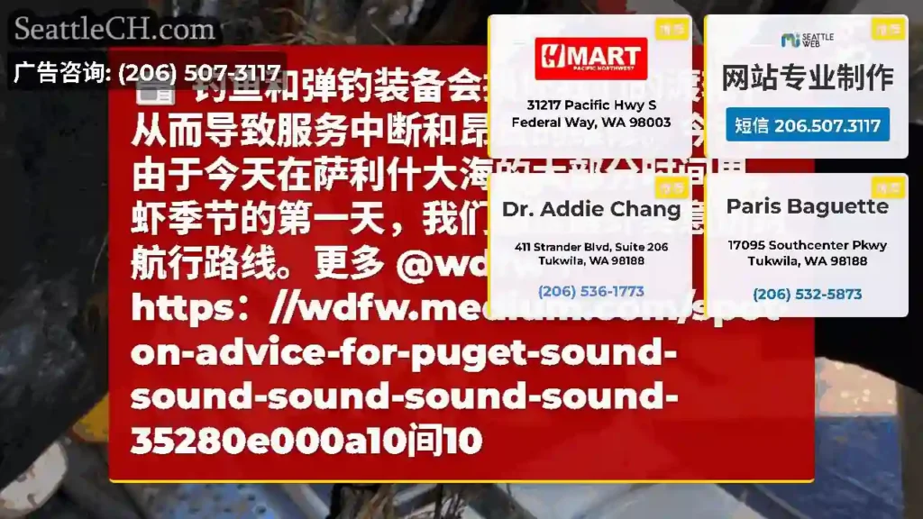 钓鱼和弹钓装备会损坏我们的渡轮，从而导致服务中断和昂贵的维修。今天，由于今天在萨利什大海的大部分时间