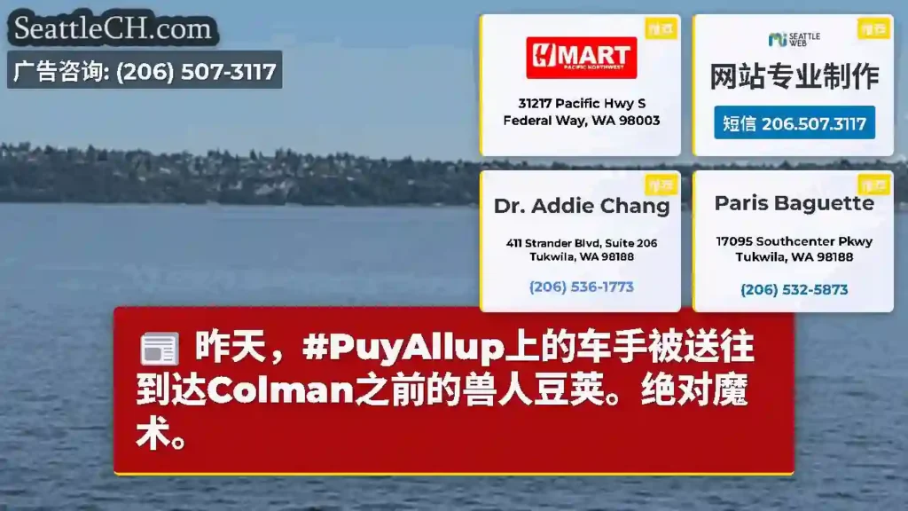 昨天，#PuyAllup上的车手被送往到达Colman之前的兽人豆荚。绝对魔术。