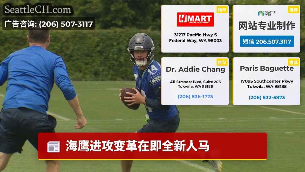 海鹰进攻变革在即全新人马