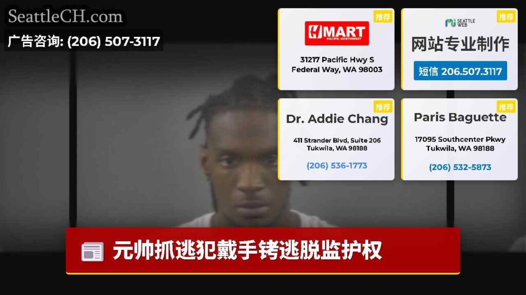 元帅抓逃犯戴手铐逃脱监护权