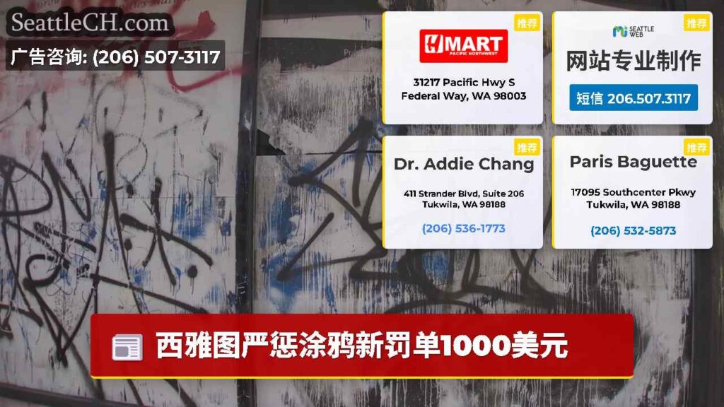 西雅图严惩涂鸦新罚单1000美元