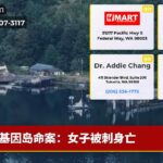 基因岛命案：女子被刺身亡